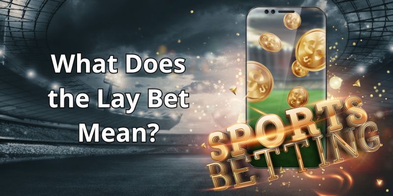 What Is Each Way Bet Bet Type Explained By Expert