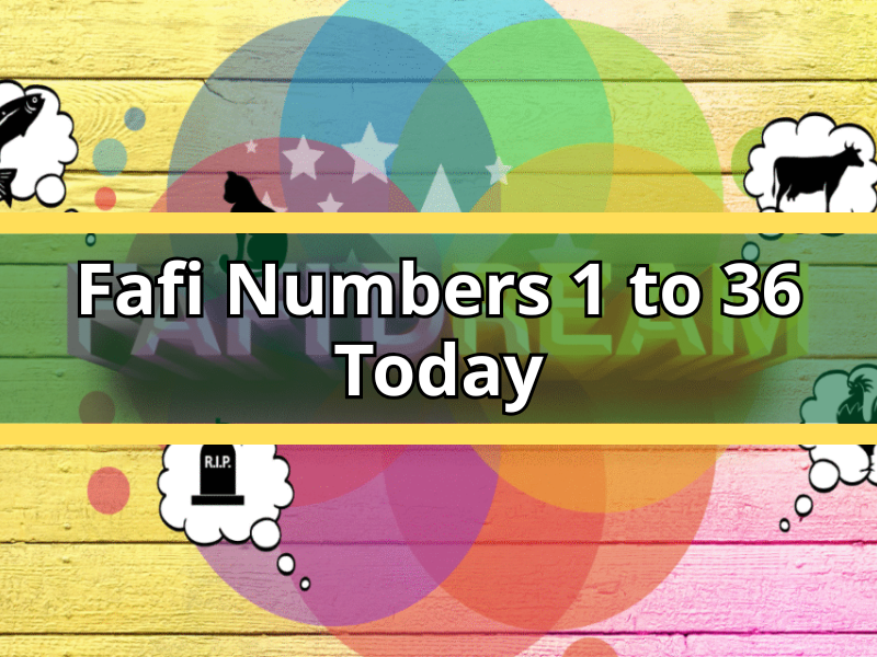 Fafi Numbers 1 to 36 Today: Dream Meaning Guide