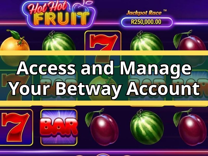 Hollywoodbets Login Spina Zonke: Easy SA Guide Steps
