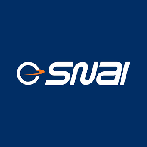 Snai IT Logo