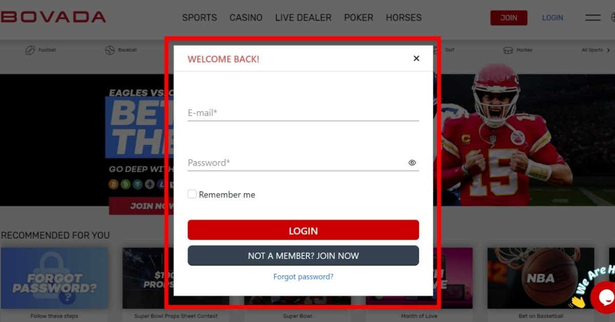 Fill Out the Bovada Login Information 