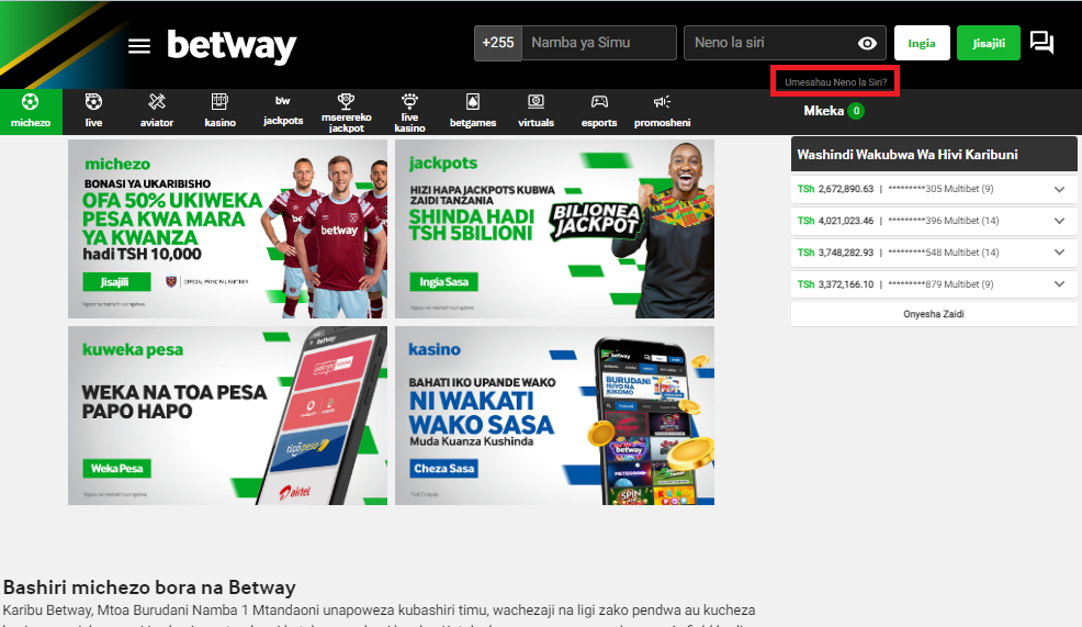 What Do You Do if You Forget the Password for Betway Tanzania