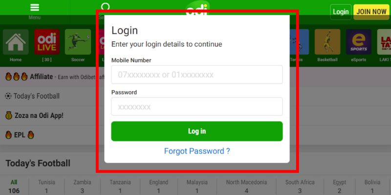 Fill in the information to log in to Odibet