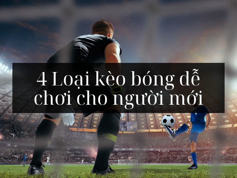 4 Loại kèo bóng dễ chơi cho người mới dễ thắng 100%