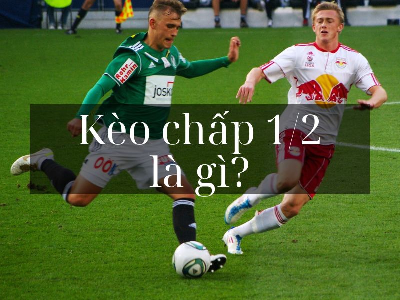 Kèo chấp 1/2 -  Cách chơi chơi kèo chấp 1/2 cần biết