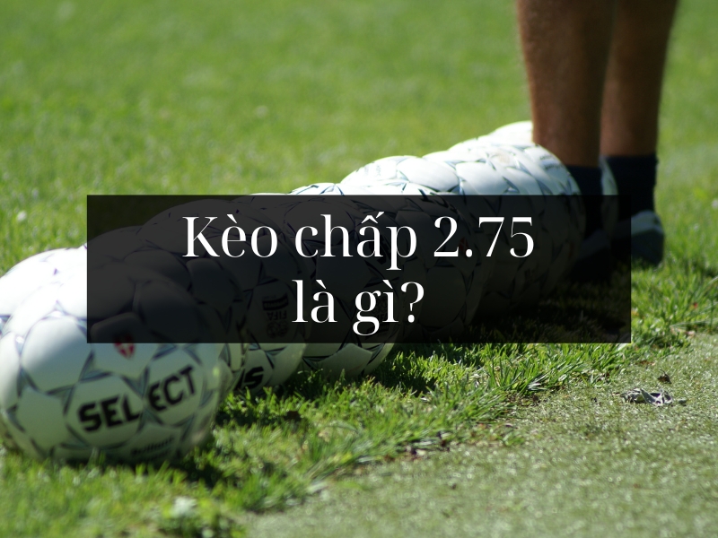 Kèo chấp 2.75 là gì? Cách đọc kèo chấp 2.75 