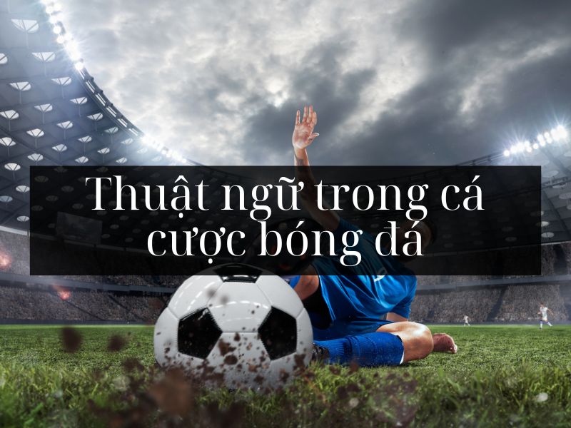 50+ Thuật ngữ trong cá cược bóng đá cần phải ghi nhớ