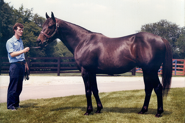 famous horseraces seattle slew
