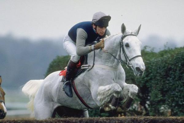 famous racehorses desert orchid