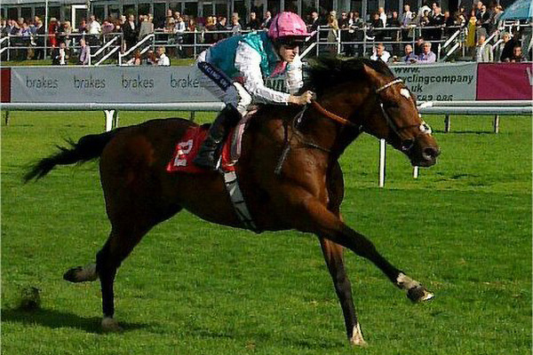 famous racehorses frankel