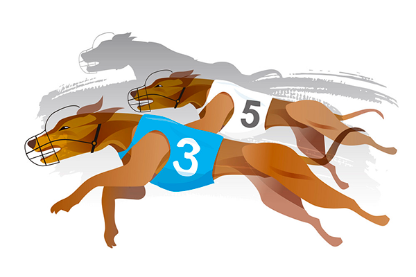 greyhound racing betting