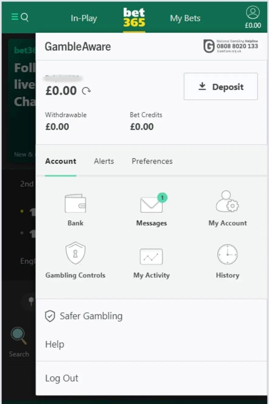 Unable to Complete Full Sportsbook Review - Data Limitation