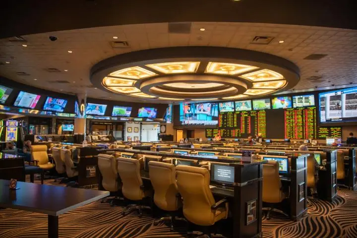 Tringobet Review 2026: Legitimacy, Odds, Bonuses & More