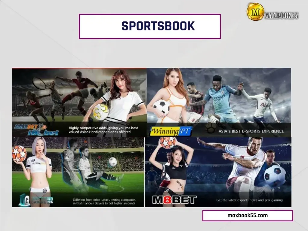 MAXBOOK55 Sportsbook Review: Legitimacy, Odds, Bonuses & More