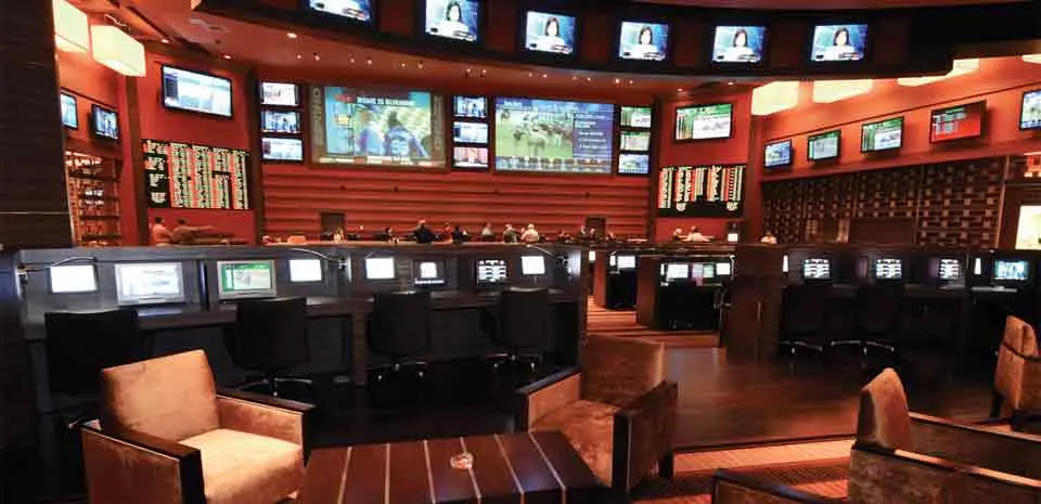 Casino.m Sportsbook Review 2026: Legitimacy, Odds, Bonuses & More